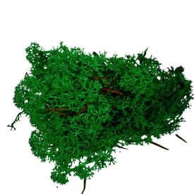 Izlandi moha sötétzöld 25dkg/csom