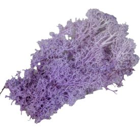 Izlandi moha lila 25dkg/csom