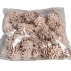 Rózsa toboz falfestékes barack 40dkg/csom