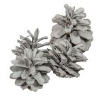 Rózsa toboz falfestékes szürke 40dkg/csom