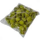 Rózsa toboz falfestékes olíva 40dkg/csom