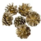 Rózsa toboz 1kg pezsgő 100dkg/csom