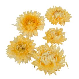 Szalmarózsa fej fehér natúr 10dkg/csom