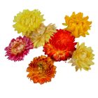 Szalmarózsa fej vegyes natúr 10dkg/csom