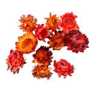 Szalmarózsa fej vegyes festett 10dkg/csom