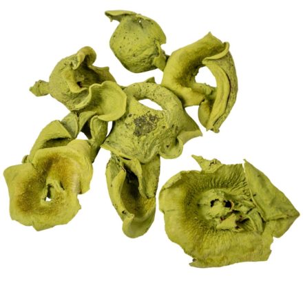 Zem falfestékes oliva 20dkg/csom