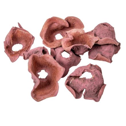 Zem falfestékes szeder 20dkg/csom