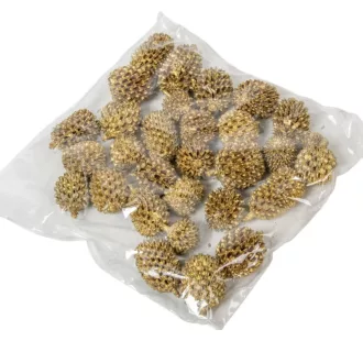 Casuarina XXL arany 20dkg/csom
