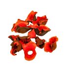 Zem narancs 16dkg/csom