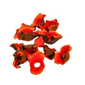 Zem narancs 16dkg/csom