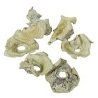 Zem falfestékes halványzöld 17dkg/csom