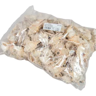 Kagyló 1kg Fésűscsiga natúr