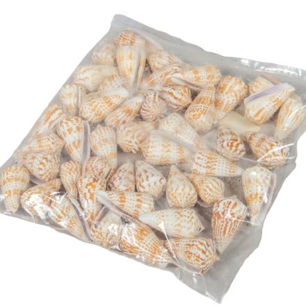 Kagyló 0,5kg Vaalaipoo-Kúpcsiga natúr