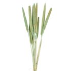 Babala falfestékes aqua 10db-os