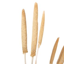 Babala falfestékes fehér 10db-os