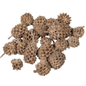 Casuarina falfestékes cappuccino 17dkg/csom