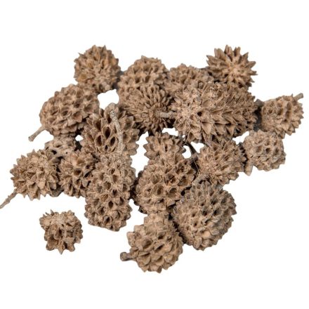 Casuarina falfestékes cappuccino 17dkg/csom