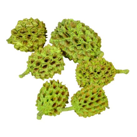 Casuarina falfestékes halványzöld 25dkg/csom