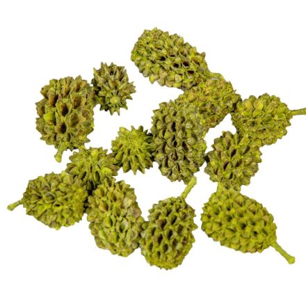 Casuarina falfestékes olíva 25dkg/csom