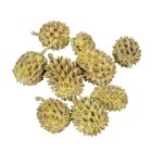 Casuarina falfestékes sárga 25dkg/csom