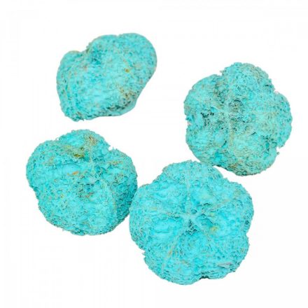 Fokhagyma termés falfestékes aqua 10dkg/csom