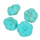 Fokhagyma termés falfestékes aqua 10dkg/csom