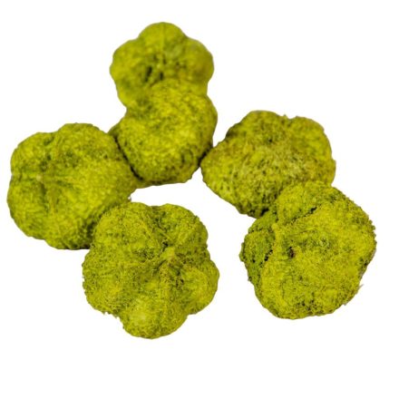 Fokhagyma termés falfestékes olíva 15dkg/csom