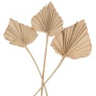 Pálmalevél közép falfestékes cappuccino 10db-os