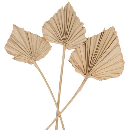 Pálmalevél közép falfestékes cappuccino 10db-os