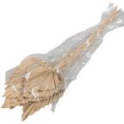 Pálmalevél közép falfestékes cappuccino 10db-os