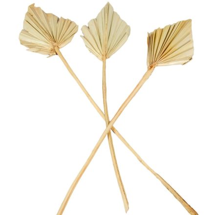 Pálmalevél mini natúr 15db-os