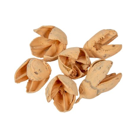 Bakuli falfestékes barack 30dkg/csom