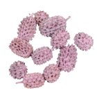 Casuarina falfestékes mályva 25dkg/csom