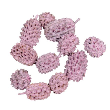 Casuarina falfestékes mályva 25dkg/csom