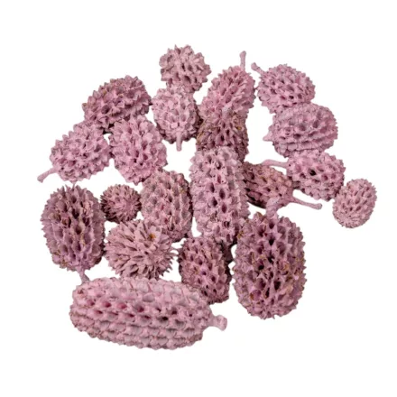Casuarina falfestékes rózsaszín 25dkg/csom