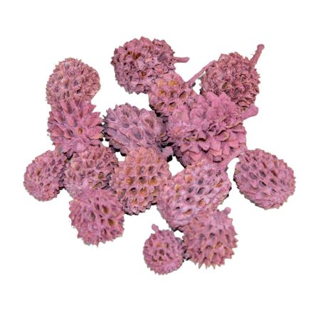 Casuarina falfestékes szeder 25dkg/csom