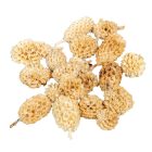 Casuarina fehérített 25dkg/csom