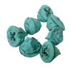 Eukalyptus gomb falfestékes aqua 25dkg/csom