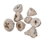 Eukalyptus gomb falfestékes fehér 25dkg/csom