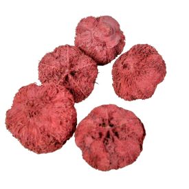 Fokhagyma termés falfestékes bordó 15dkg/csom