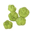 Fokhagyma termés falfestékes vil.zöld 15dkg/csom