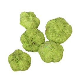 Fokhagyma termés falfestékes vil.zöld 15dkg/csom