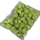 Fokhagyma termés falfestékes vil.zöld 15dkg/csom