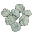 Fokhagyma termés falfestékes vízkék 10dkg/csom