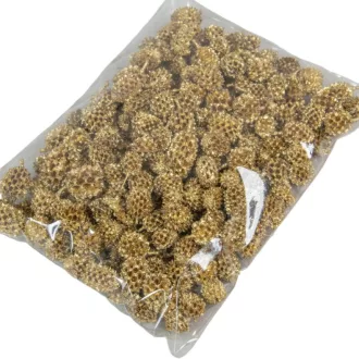 Casuarina arany&glitter 14dkg/csom