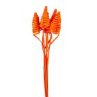 Cane Cone feh.narancs 10db-os