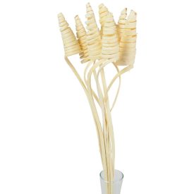 Cane Cone fehérített 10db-os