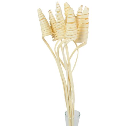 Cane Cone fehérített 10db-os