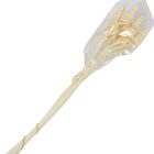 Cane Cone fehérített 10db-os