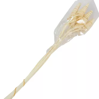 Cane Cone fehérített 10db-os